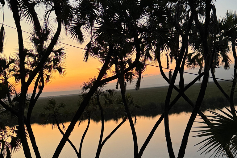 Addis Ababa: Awash National Park 2-Day Safari & Volcano Hike