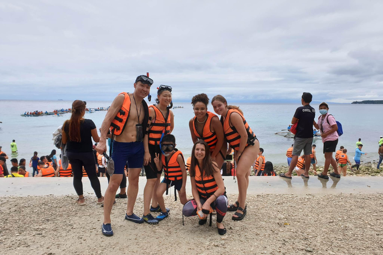 CEBU: Valhajsskådning + Sumilon Sand Bar + Tumalog Falls