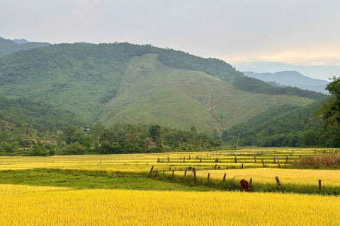 Private Authentic Da Nang Countryside Bike Tour – 1 Day