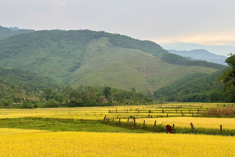 Private Authentic Da Nang Countryside Bike Tour – 1 Day