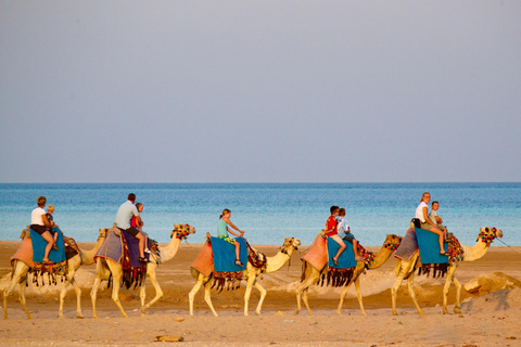Hurghada: Camel Ride, Blue Lagoon, BBQ, and Stargazing Hurghada: Camel Ride, Blue Lagoon, BBQ, and Stargazing