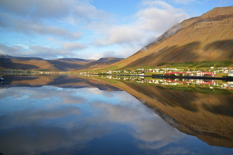 Isafjordur: Wycieczka do wodospadu Dynjandi