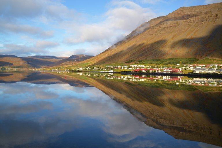 Isafjordur: Wycieczka do wodospadu Dynjandi