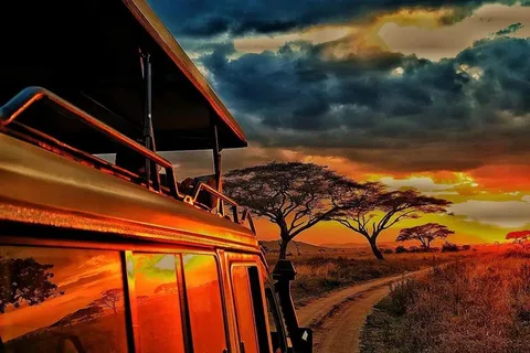 7 Days Mid - Range Lodge Tanzania Safari