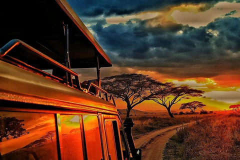 7-dniowe safari w Tanzanii