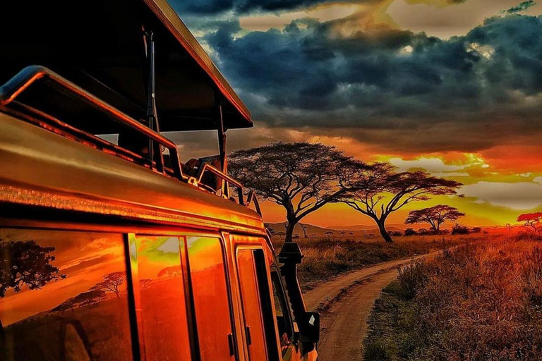 Safari in Tanzania di 7 giorni