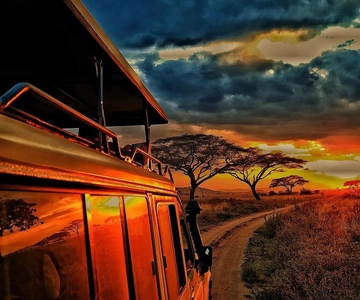 7 Days Mid - Range Lodge Tanzania Safari
