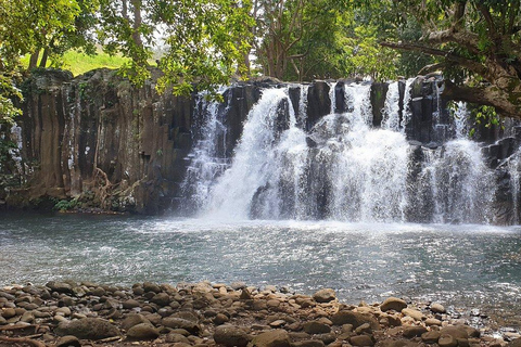 South West Mauritius : Ebony Forest Nature Escape with Lunch Into the Wild South: Ebony Forest Nature Escape with Lunch