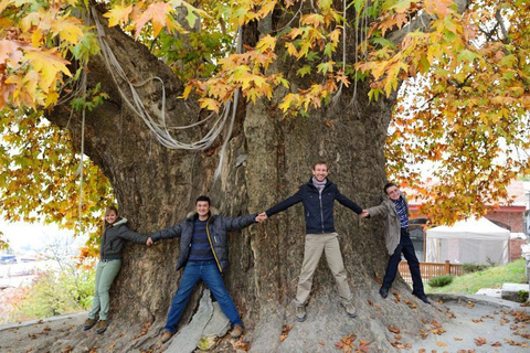 From Tbilisi: Kakheti Wine, Culture & Sighnaghi Group Tour