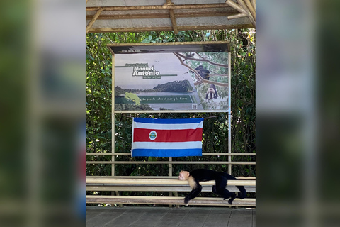 Parque Manuel Antonio: Visita guiada a pie con un naturalistaTour privado