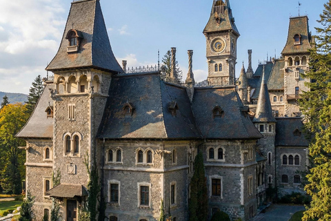 MINIVAN Dracula Castle, Peleș Castle & Wednesday 3 CASTLES Audio Guide 24 Languages