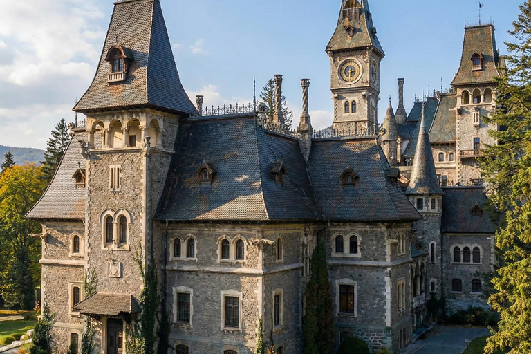 MINIVAN Dracula Castle, Peleș Castle & Wednesday 3 CASTLES Audio Guide 24 Languages