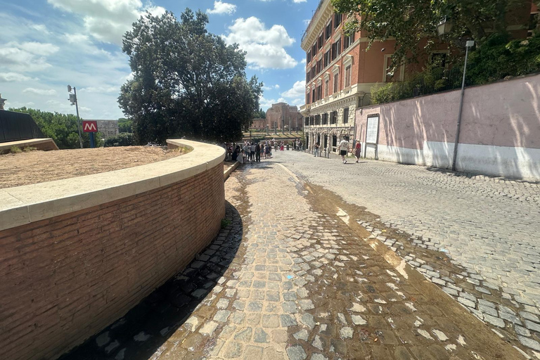 Small Group Guided Tour Colosseum Roman Forum, Palatine Hill Standard Tickets