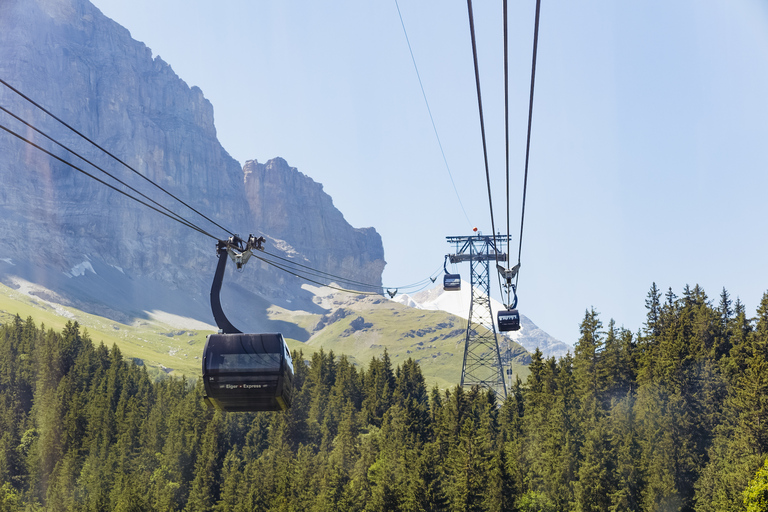 From Zurich: Guided Day Trip to Jungfraujoch with Train Ride