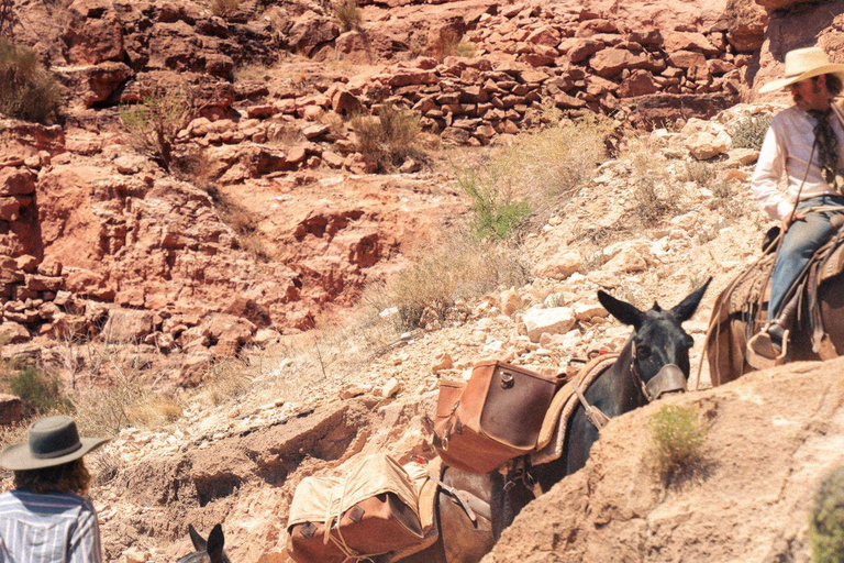 Moab: Guided Horseback or Mule Ride with Canyon Views