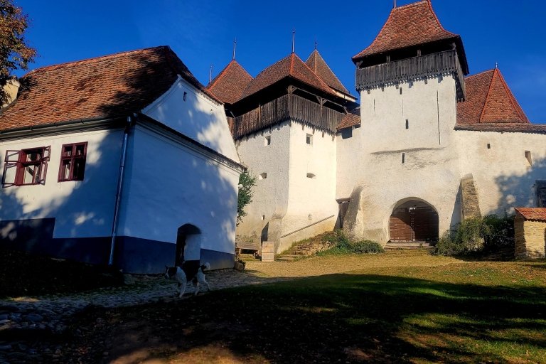 Von Cluj aus: Der Goldene Kreis von Transsilvanien