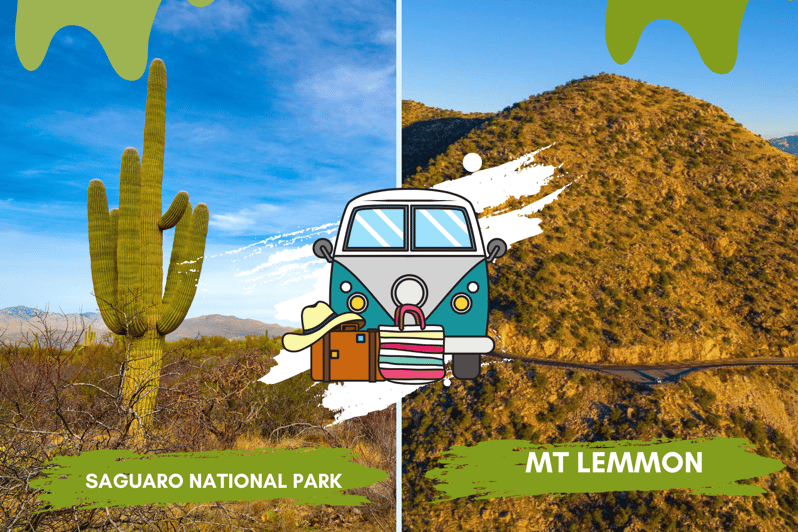Tucson: Mt Lemmon & Saguaro NP Self-Guided Bundle Tour