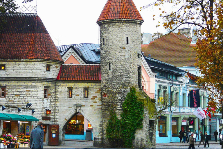 Helsinki: Round-Trip Ferry Cruise to Tallinn Same-Day Round-Trip From Helsinki To Tallinn With Free Time