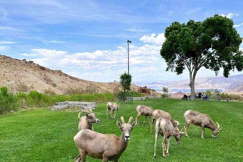 Round-trip from Las Vegas | Grand Canyon West Rim 3-Day Tour Double Room
