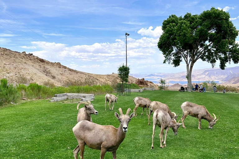 Round-trip from Las Vegas | Grand Canyon West Rim 3-Day Tour Double Room