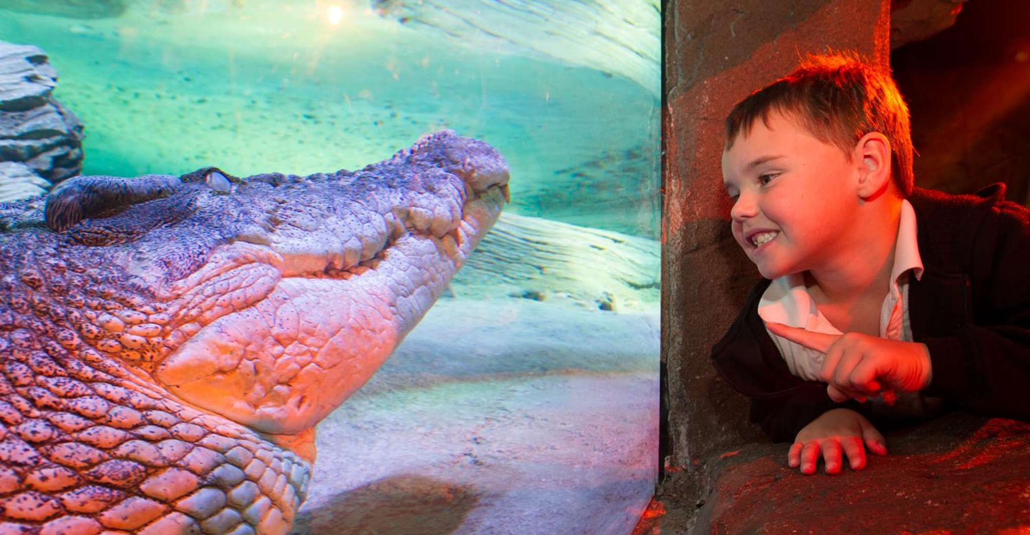 Melbourne: SEA LIFE Aquarium Entrance Ticket photo 17