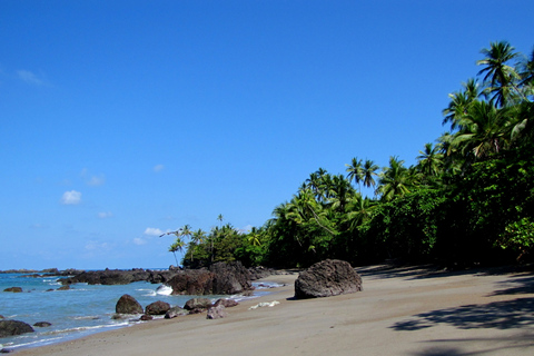 Parque Nacional del Corcovado: Excursión guiada de senderismo - Día completo