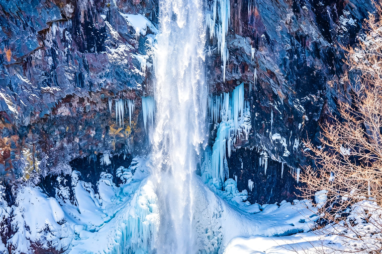 Nikko Small Group: Hotel Pickup, Kegon Falls & Toshogu Private Sightseeing Tours