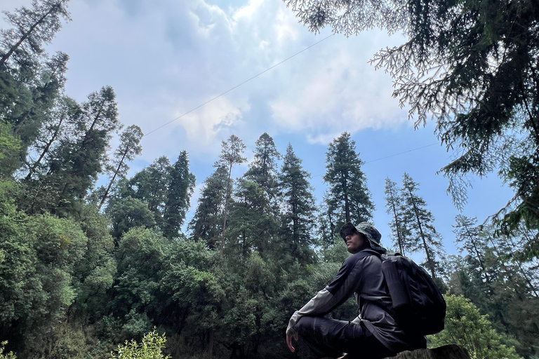 Mexico City: Hiking tour to Desierto de los leones