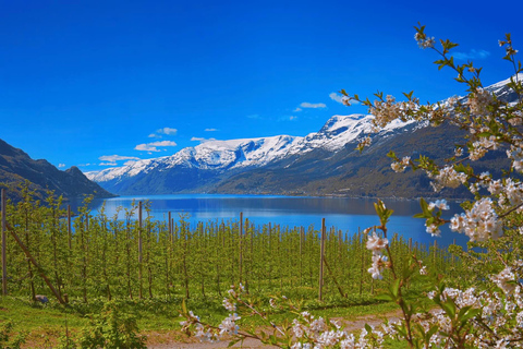 Wycieczka z przewodnikiem: Hardangerfjord, wodospady i przeprawa promem