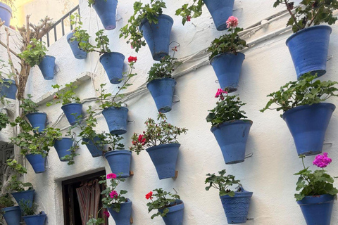 Córdoba Courtyards, Jewish Quarter and Synagogue Sightseeing Tour Cordoba's Courtyards, Jewish Quarter and Synagogue Sightseeing Tour