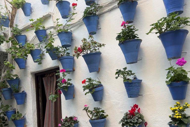 Córdoba Courtyards, Jewish Quarter and Synagogue Sightseeing Tour Cordoba's Courtyards, Jewish Quarter and Synagogue Sightseeing Tour
