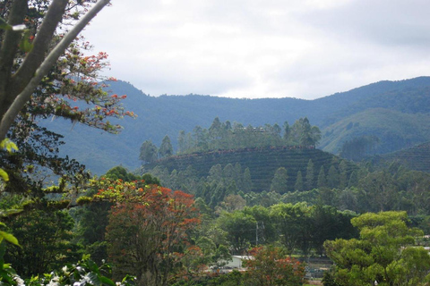 Poás Volcano: Day Tour + Breakfast & Starbucks Coffee Farm