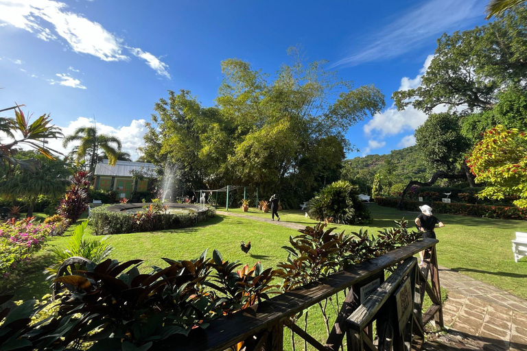 St. Kitts & Nevis: Two islands One Paradise private tour St. Kitts & Nevis: 2 islands 1 Paradise private: Intimate
