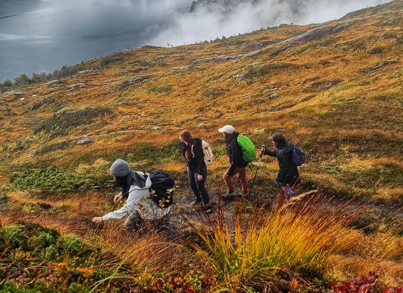 Bergen: Fjordvandring - offentlig tur