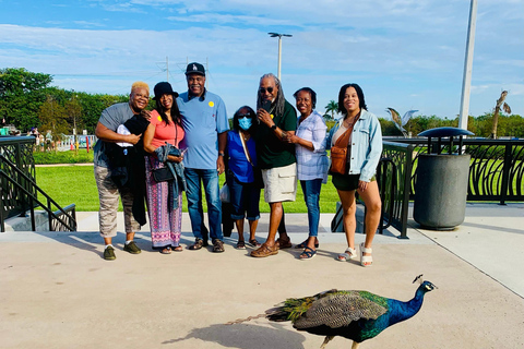 Everglades: on Flat Propelled Boat with Transportation