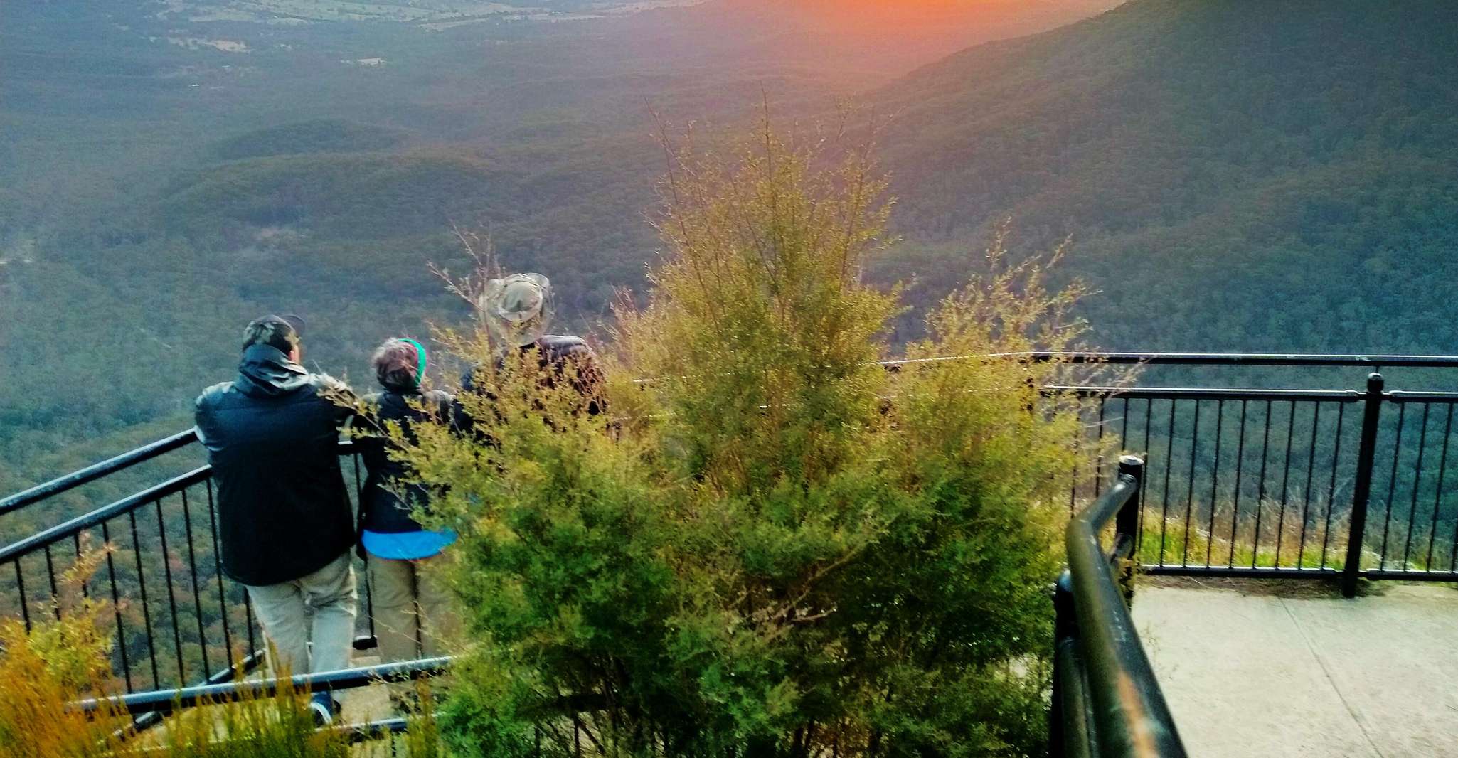 Sydney, Blue Mountains, Bushwalks, Waterfalls et Koalas - Hizvo