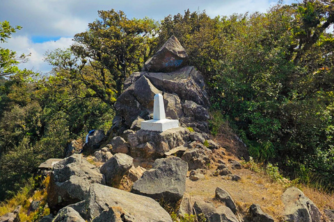 Santa Ana: El Chingo Volcano Day Trip