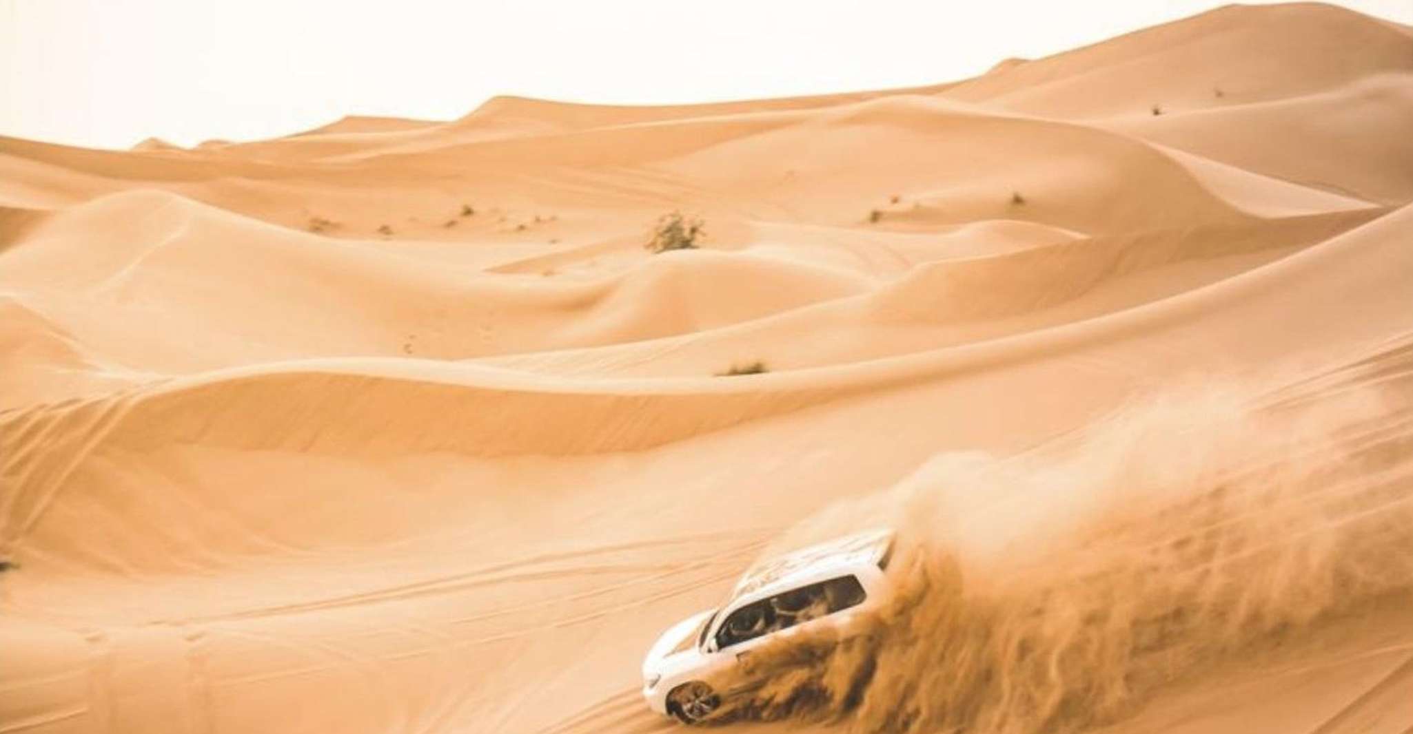 Doha: Safari, Camel Ride, Sandboarding and Inland Sea Tour photo 7