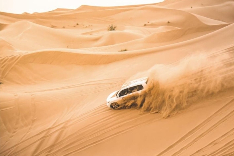 Doha Layover,Stopover Desert Safari Camel Ride & SandBoard