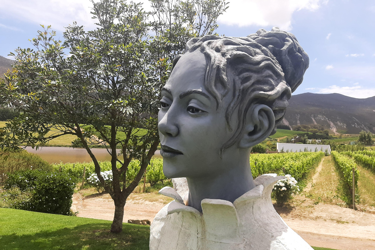 Kapsztad: obserwacja wielorybów, degustacja wina i wycieczka z pingwinami