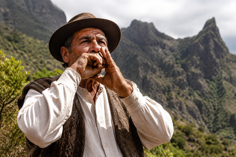 La Gomera: Private V-Class Tour from Tenerife