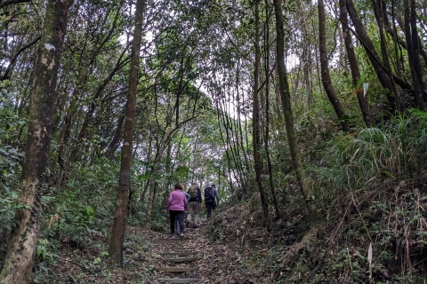 Całodniowa wycieczka trekkingowa do Parku Narodowego Bach Ma z lunchemWspólna wycieczka: Z centrum Hue