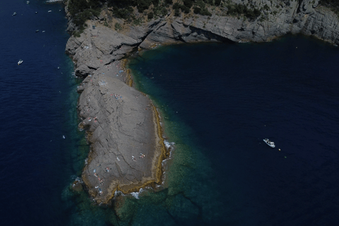 Baignade avec les cétacés Visite privée en bateau Genova Portofino