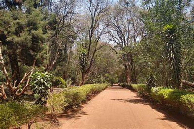 Stadsrondleiding door Nairobi met Arboretum, Jeevanjee Gardens &amp; meer