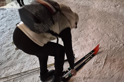 Vancouver: Whistler Day with Snowshoeing/Nordic Skiing