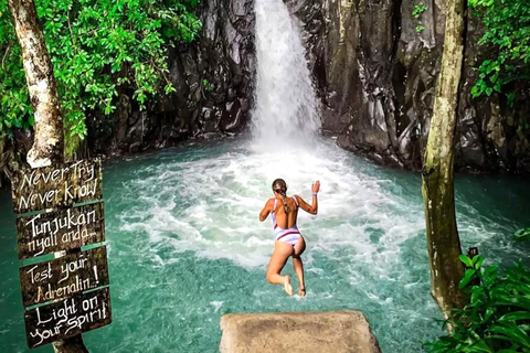 North Bali: Dolphin Swim, Snorkeling, & Waterfall Cliff Jump Small Group With Hotel Transfer Central Bali