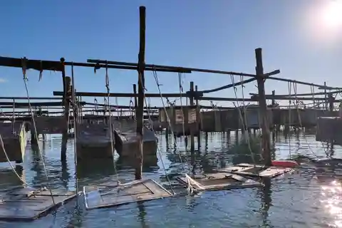 Chioggia: discover aquaculture techniques in a typical boat