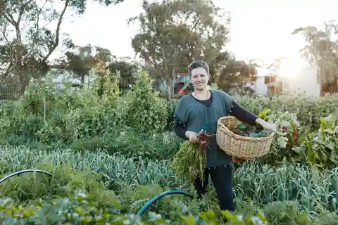 Watervale: Penobscot Farm Tour with Chef and 5-Course Lunch
