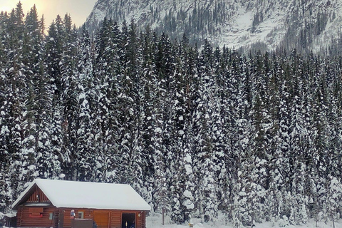 Lake Louise, Johnston Canyon Bow Falls Surprise Corner Tour