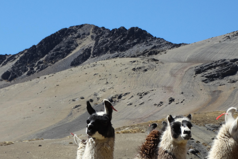 لاباز: جولة نهارية لتسلق جبل سيرانياس ألميناليس الذي يبلغ ارتفاعه 5000 مترلا باز: جولة نهارية على ارت